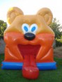  Piscina de Bolinhas / Urso Pula Pula (Inflável)